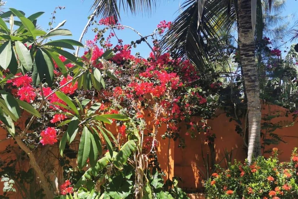 Charming Blue House With Kitchen Parking And Garden Villa Canoa Quebrada Kültér fotó